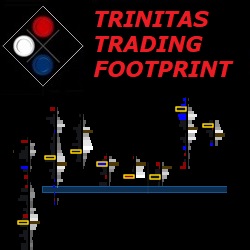 Delta and Volume Footprint Indicator for NinjaTrader